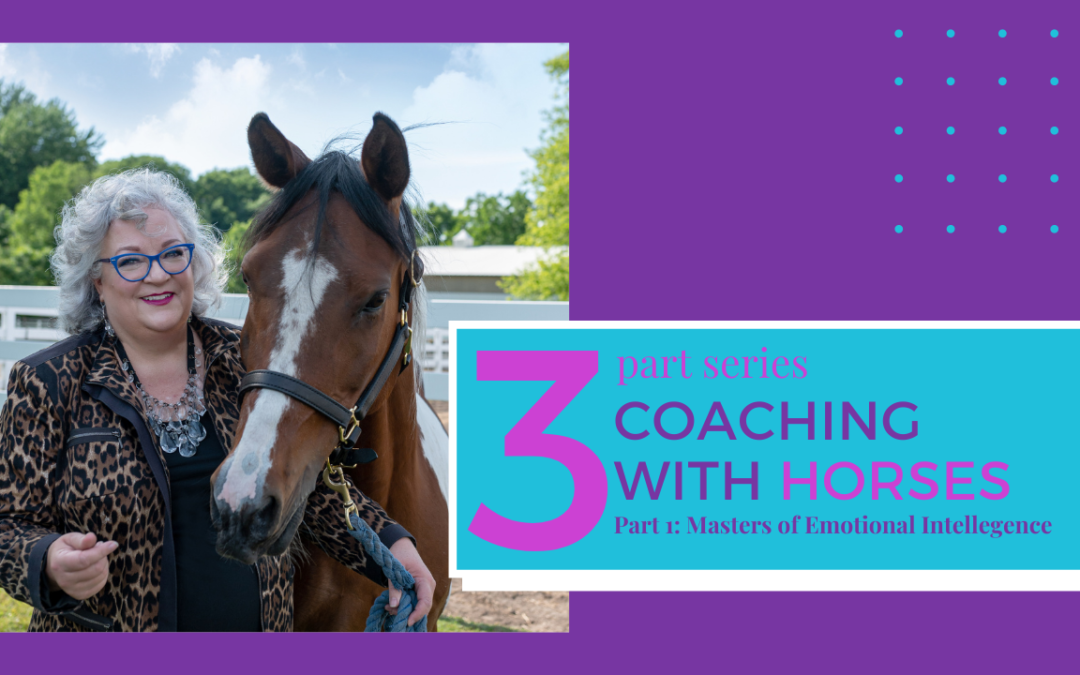 Coaching With Horses Part 3: The Synergy of Experiential Learning & Emotional Intelligence